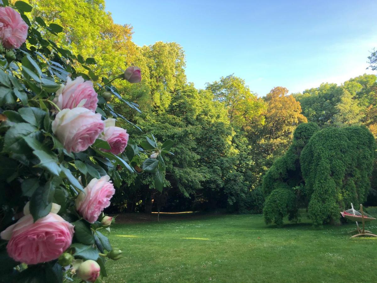 Le Chateau D'Hermonville B&B / Chambres D'Hotes 외부 사진