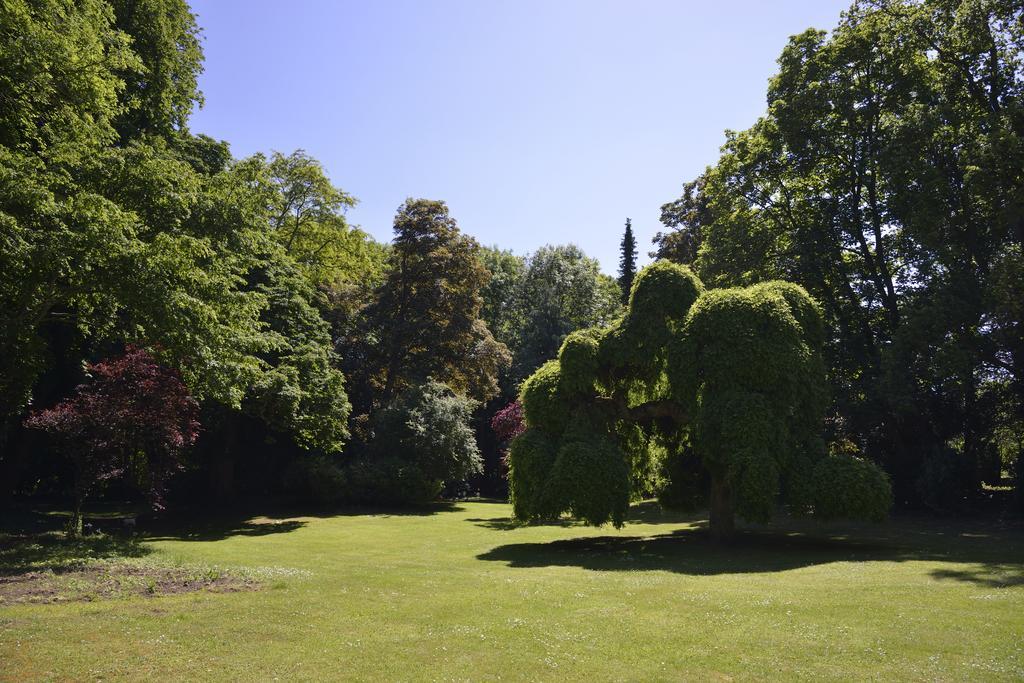 Le Chateau D'Hermonville B&B / Chambres D'Hotes 외부 사진