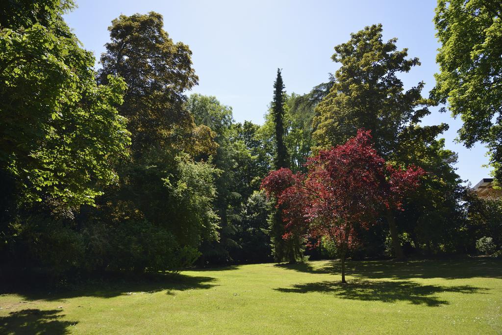 Le Chateau D'Hermonville B&B / Chambres D'Hotes 외부 사진