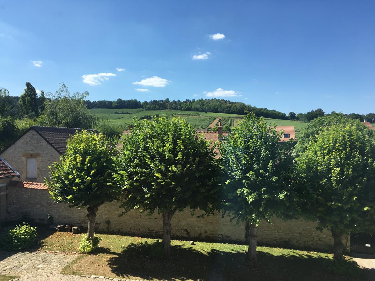 Le Chateau D'Hermonville B&B / Chambres D'Hotes 외부 사진